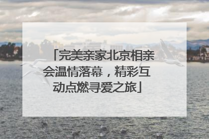 完美亲家北京相亲会温情落幕，精彩互动点燃寻爱之旅