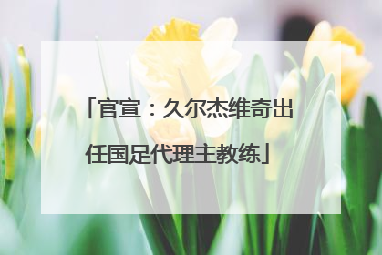 官宣：久尔杰维奇出任国足代理主教练