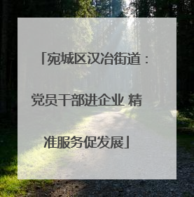 宛城区汉冶街道：党员干部进企业 精准服务促发展
