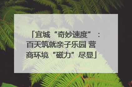 宜城“奇妙速度”：百天筑就亲子乐园 营商环境“磁力”尽显
