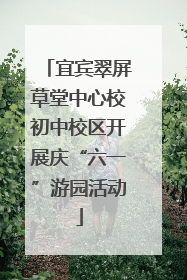 宜宾翠屏草堂中心校初中校区开展庆“六一”游园活动