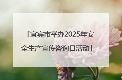 宜宾市举办2025年安全生产宣传咨询日活动