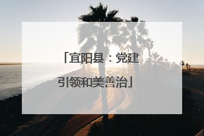 宜阳县：党建引领和美善治