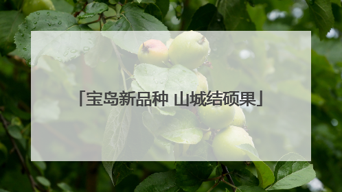 宝岛新品种 山城结硕果