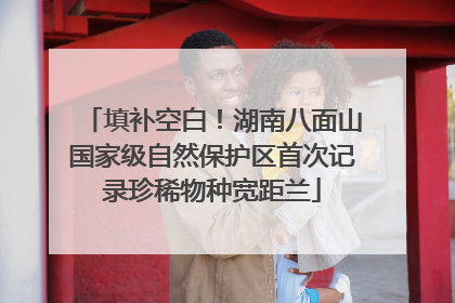 填补空白！湖南八面山国家级自然保护区首次记录珍稀物种宽距兰