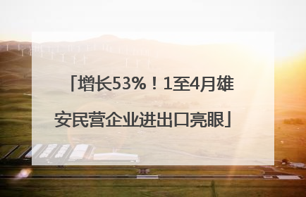 增长53%！1至4月雄安民营企业进出口亮眼