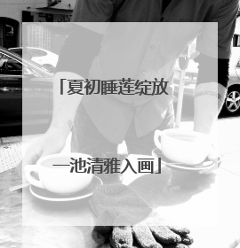 夏初睡莲绽放 一池清雅入画