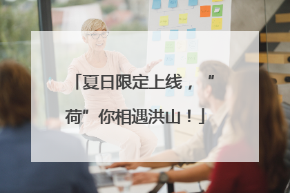 夏日限定上线，“荷”你相遇洪山！