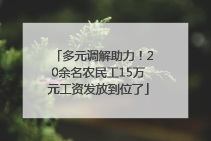 多元调解助力！20余名农民工15万元工资发放到位了