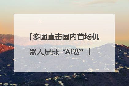 多图直击国内首场机器人足球“AI赛”