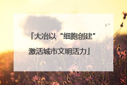 大冶以“细胞创建”激活城市文明活力