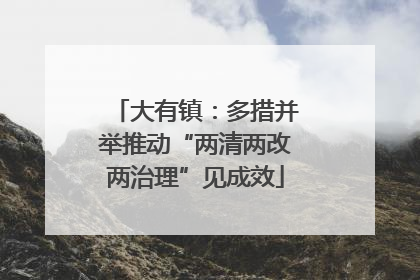 大有镇：多措并举推动“两清两改两治理”见成效