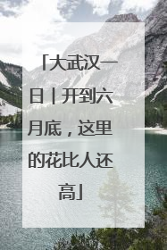 大武汉一日︱开到六月底，这里的花比人还高