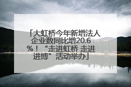大虹桥今年新增法人企业数同比增20.6%！“走进虹桥 走进进博”活动举办