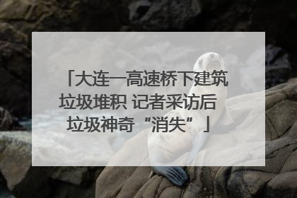 大连一高速桥下建筑垃圾堆积 记者采访后垃圾神奇“消失”