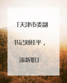 天津市委副书记刘桂平，添新职