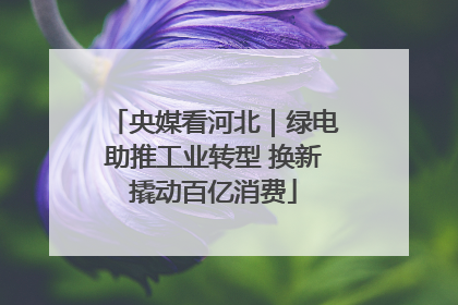 央媒看河北｜绿电助推工业转型 换新撬动百亿消费
