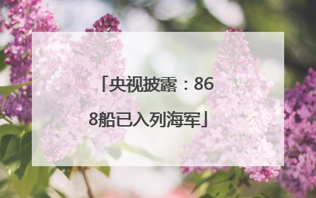 央视披露：868船已入列海军