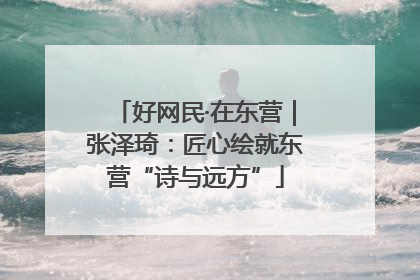 好网民·在东营｜张泽琦：匠心绘就东营“诗与远方”