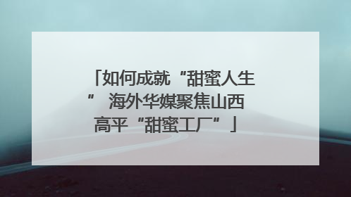 如何成就“甜蜜人生” 海外华媒聚焦山西高平“甜蜜工厂”