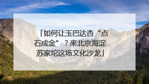 如何让玉巴达杏“点石成金”？来北京海淀苏家坨这场文化沙龙