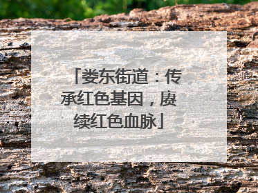 娄东街道：传承红色基因，赓续红色血脉