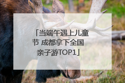 当端午遇上儿童节 成都拿下全国亲子游TOP1