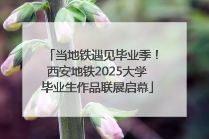 当地铁遇见毕业季！西安地铁2025大学毕业生作品联展启幕
