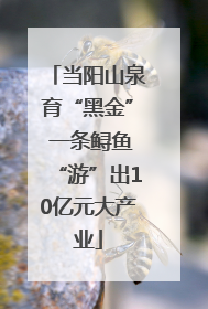 当阳山泉育“黑金” 一条鲟鱼“游”出10亿元大产业