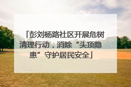 彭刘杨路社区开展危树清理行动，消除“头顶隐患”守护居民安全