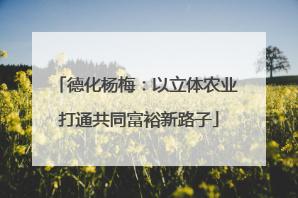 德化杨梅：以立体农业打通共同富裕新路子