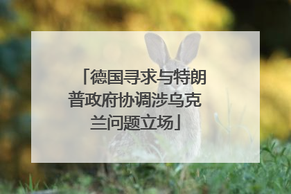 德国寻求与特朗普政府协调涉乌克兰问题立场