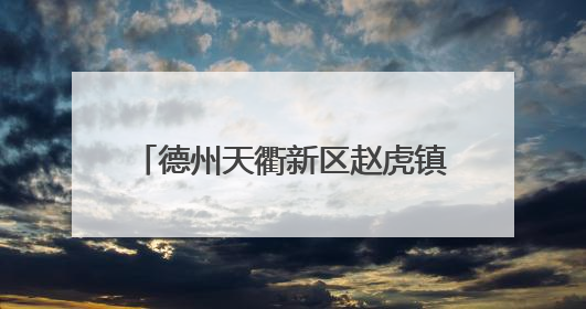 德州天衢新区赵虎镇聘乡村振兴“智囊团” 绘就发展新蓝图