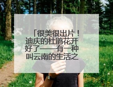 很美很出片！迪庆的杜鹃花开好了——有一种叫云南的生活之365天