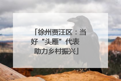 徐州贾汪区：当好“头雁”代表 助力乡村振兴