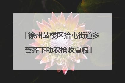 徐州鼓楼区拾屯街道多管齐下助农抢收夏粮