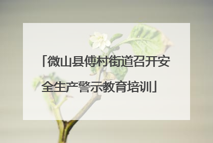 微山县傅村街道召开安全生产警示教育培训