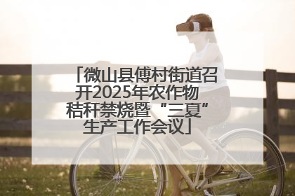 微山县傅村街道召开2025年农作物秸秆禁烧暨“三夏”生产工作会议