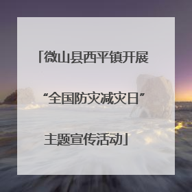 微山县西平镇开展“全国防灾减灾日”主题宣传活动