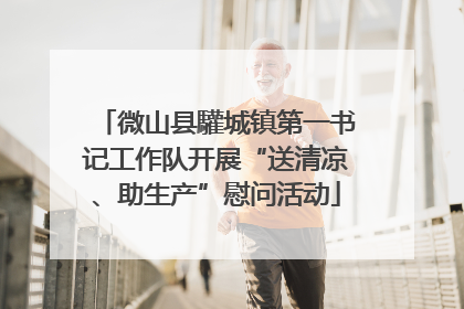 微山县驩城镇第一书记工作队开展“送清凉、助生产”慰问活动