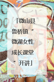 微山县鲁桥镇“微湖女性成长课堂”开讲