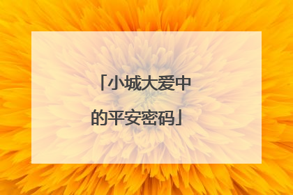 小城大爱中的平安密码