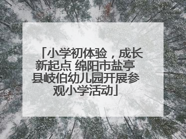 小学初体验，成长新起点 绵阳市盐亭县岐伯幼儿园开展参观小学活动