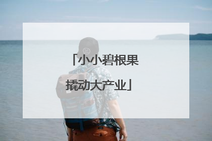 小小碧根果撬动大产业