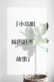 小岛姐妹的赶考故事