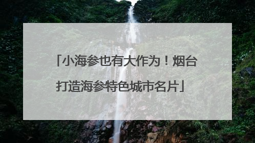 小海参也有大作为！烟台打造海参特色城市名片