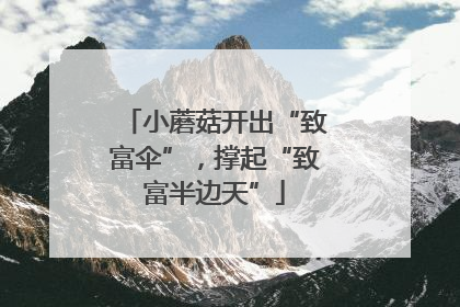 小蘑菇开出“致富伞”，撑起“致富半边天”