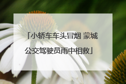 小轿车车头冒烟 蒙城公交驾驶员雨中相救