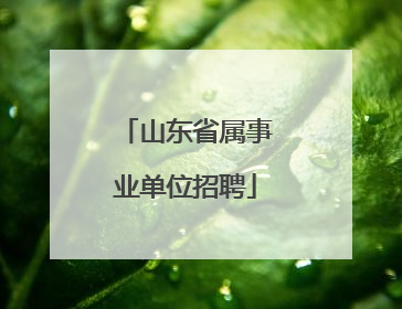 山东省属事业单位招聘