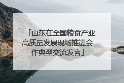 山东在全国粮食产业高质量发展现场推进会作典型交流发言